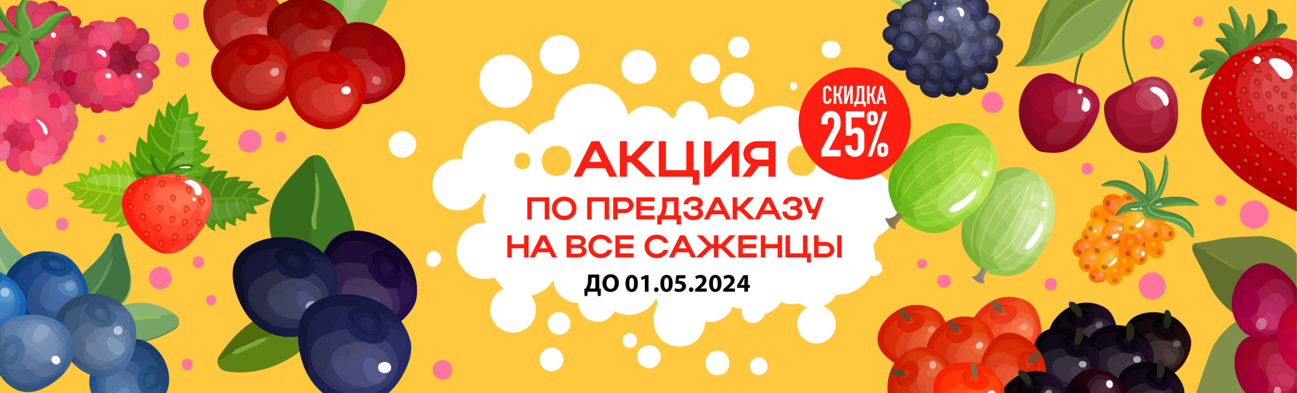 Категория: Саженцы Алычи | Саженцы из Солнечного Крыма